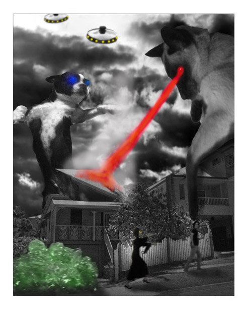 It Wasn't My Fault Mum